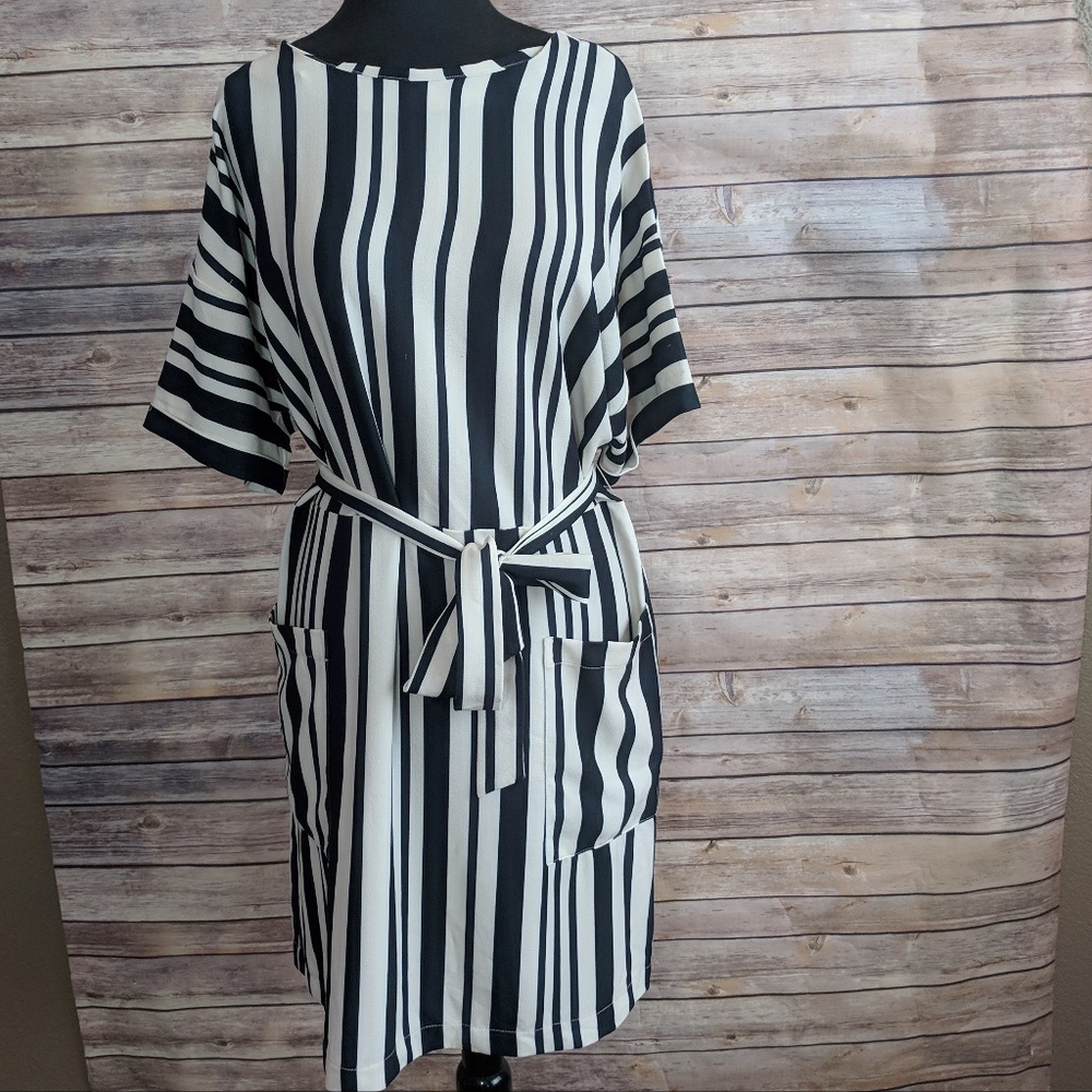 Felicity & Coco Vertical Striped Dress black/white